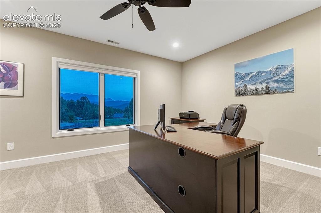 910 Spacious Skies Drive Woodland Park CO 80863