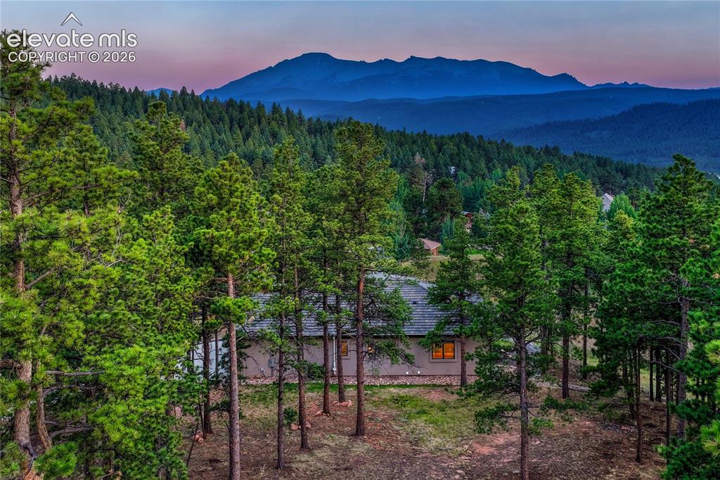 910 Spacious Skies Drive Woodland Park CO 80863