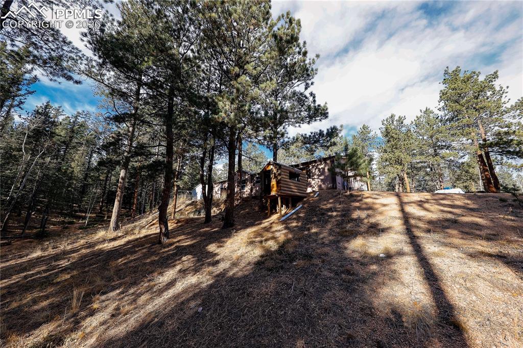 1641 Kiowa Road Florissant CO 80816