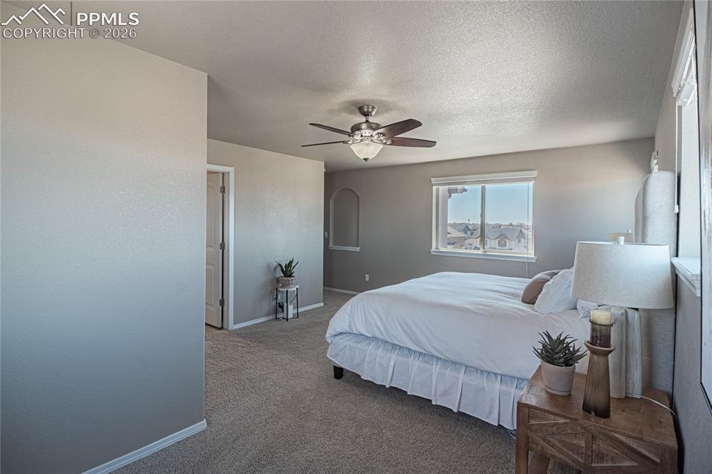 6511 Mission Bend Way Colorado Springs CO 80923