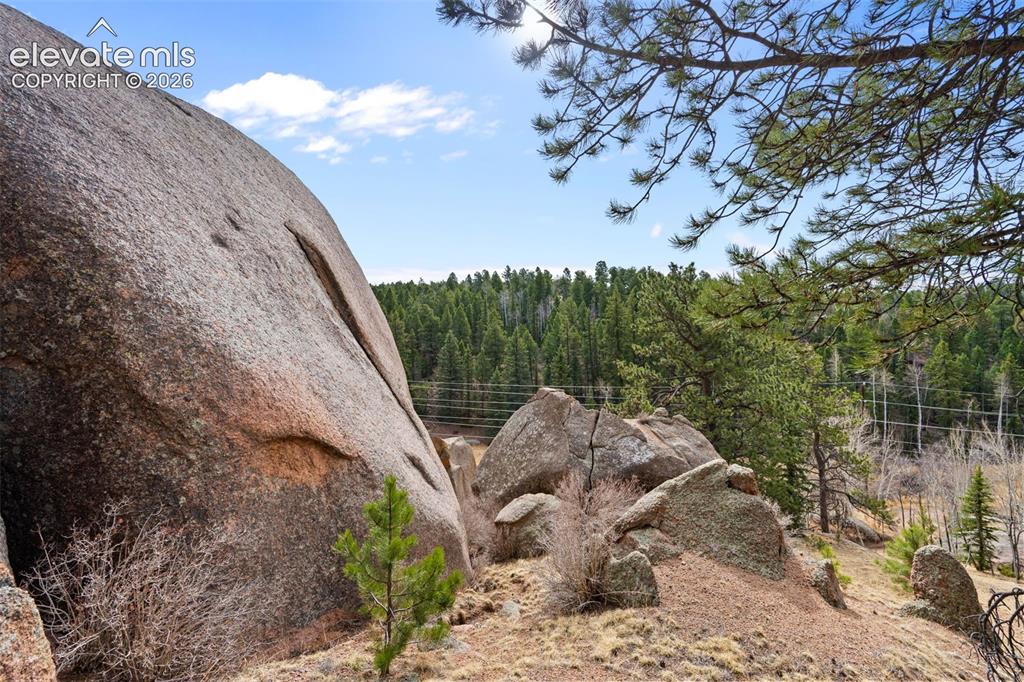 553 Arrowhead Road Florissant CO 80816