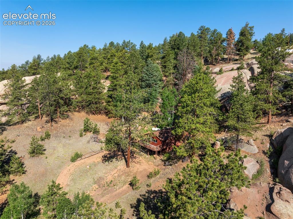 553 Arrowhead Road Florissant CO 80816