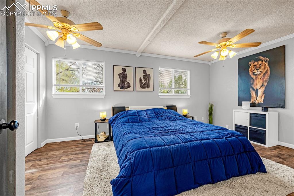 7317 Sullivan Circle Colorado Springs CO 80911