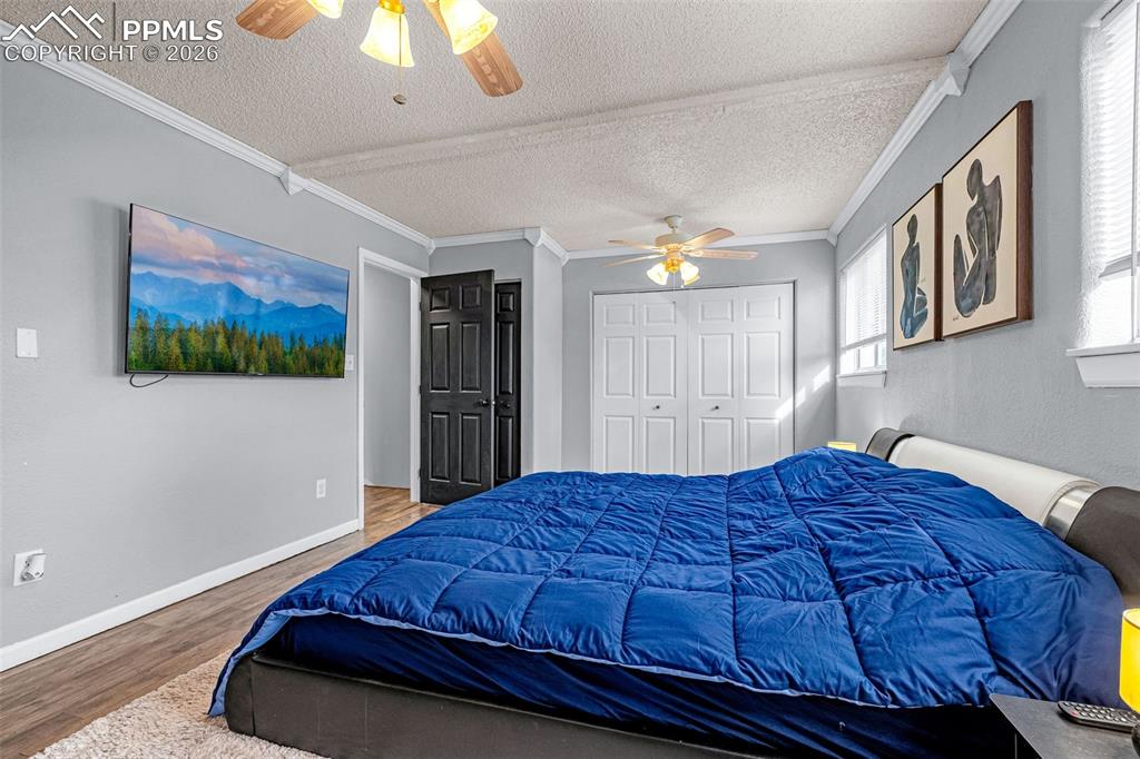7317 Sullivan Circle Colorado Springs CO 80911