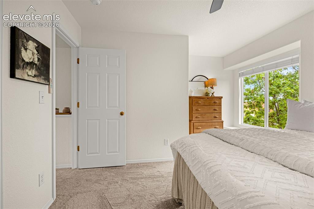 7284 Eagle Canyon Drive Colorado Springs CO 80922