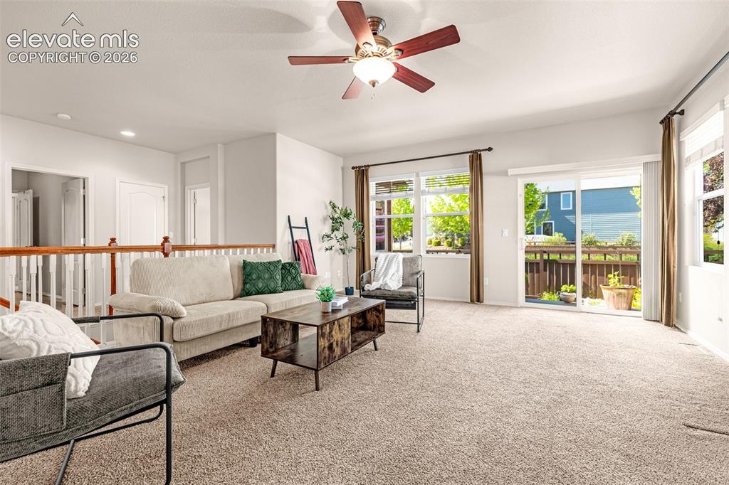 198 Millstream Terrace Colorado Springs CO 80905