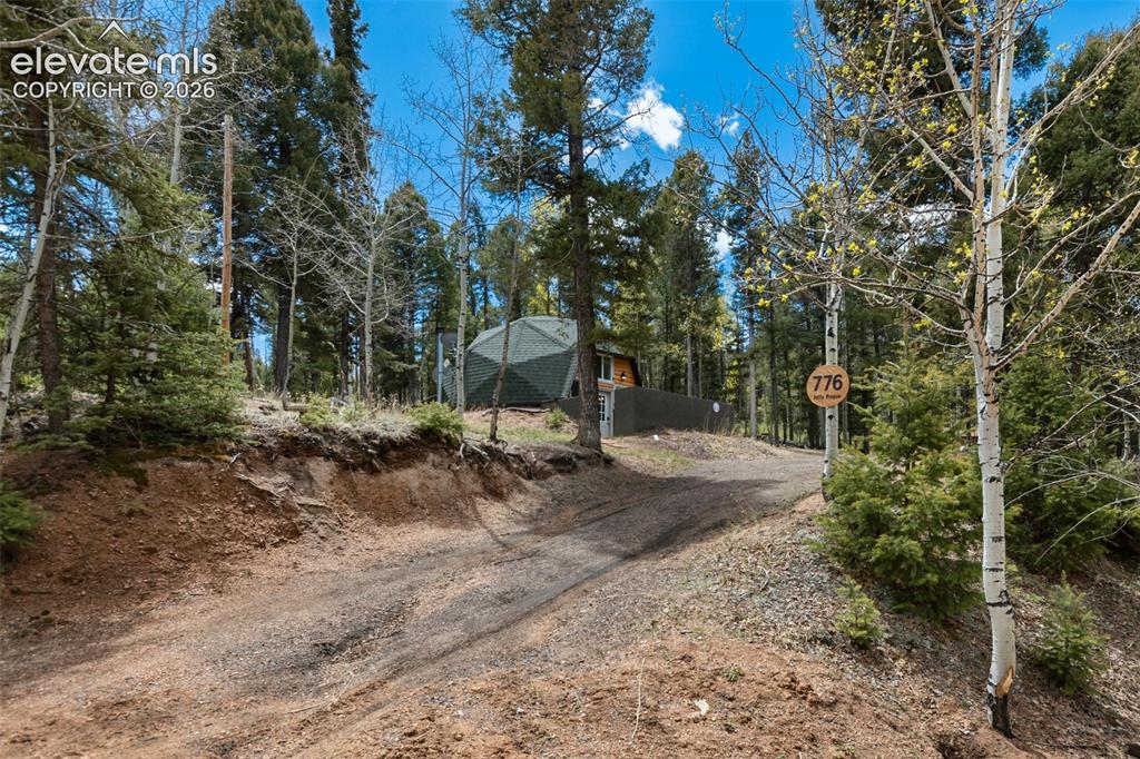 776 Jolly Rogue Drive Divide CO 80814