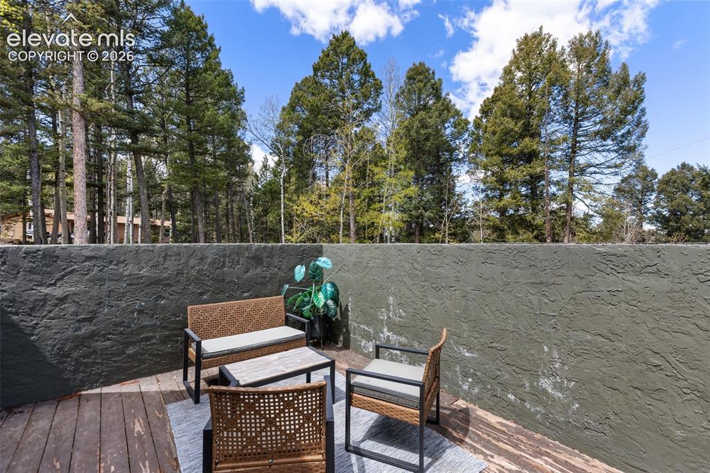 776 Jolly Rogue Drive Divide CO 80814