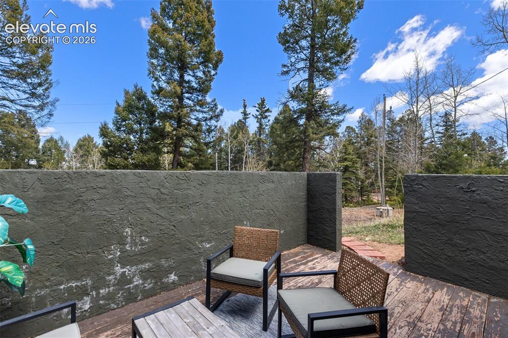 776 Jolly Rogue Drive Divide CO 80814