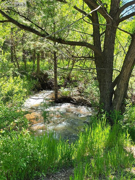 141 Virginia Avenue Palmer Lake CO 80133