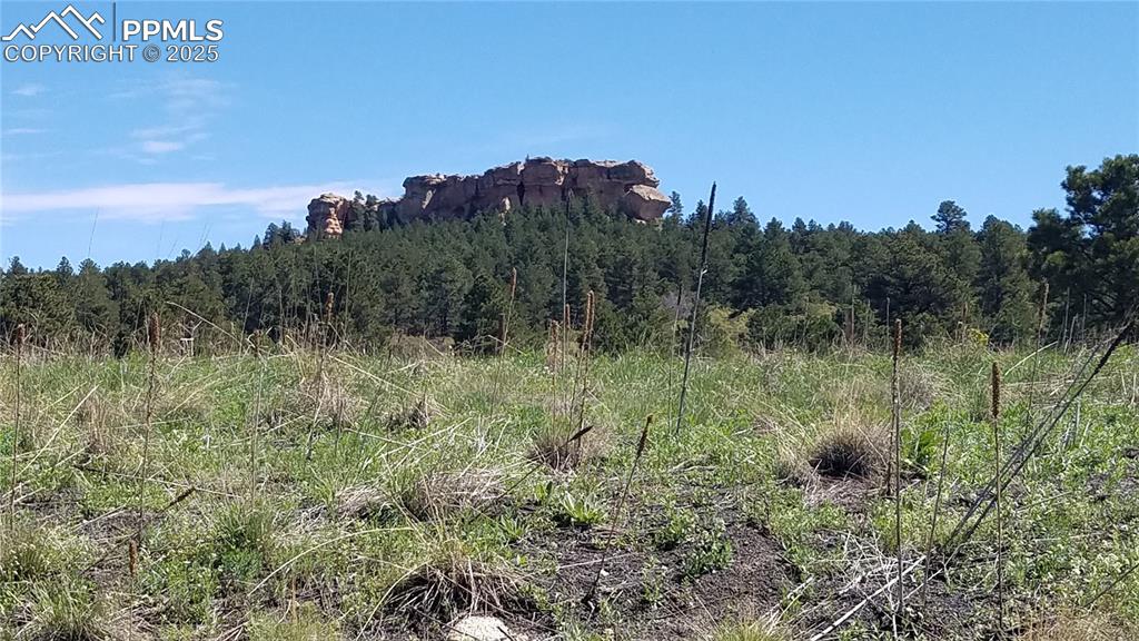 141 Virginia Avenue Palmer Lake CO 80133