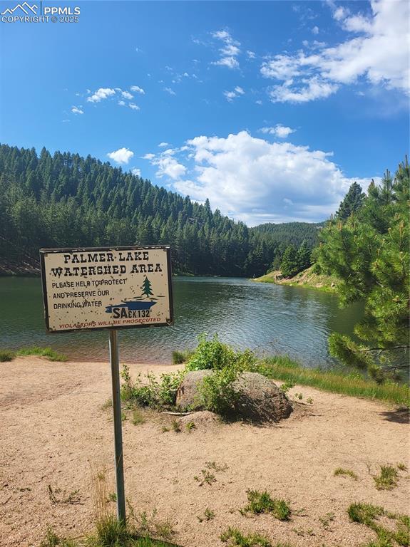 141 Virginia Avenue Palmer Lake CO 80133