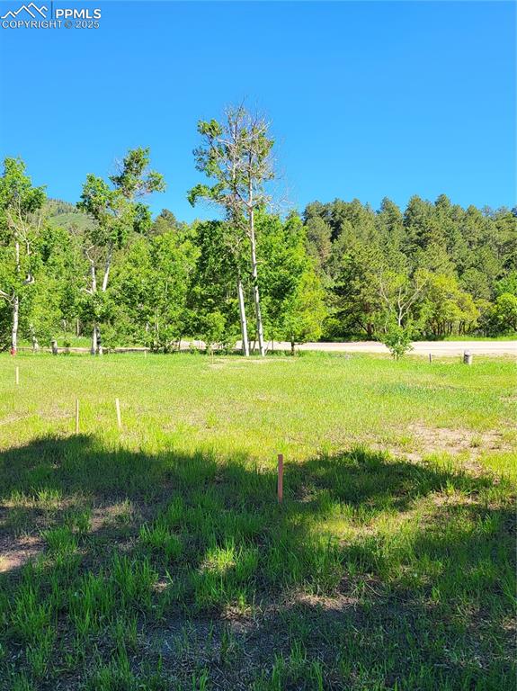 141 Virginia Avenue Palmer Lake CO 80133