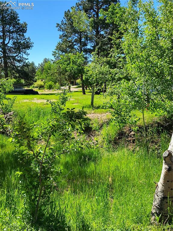 141 Virginia Avenue Palmer Lake CO 80133