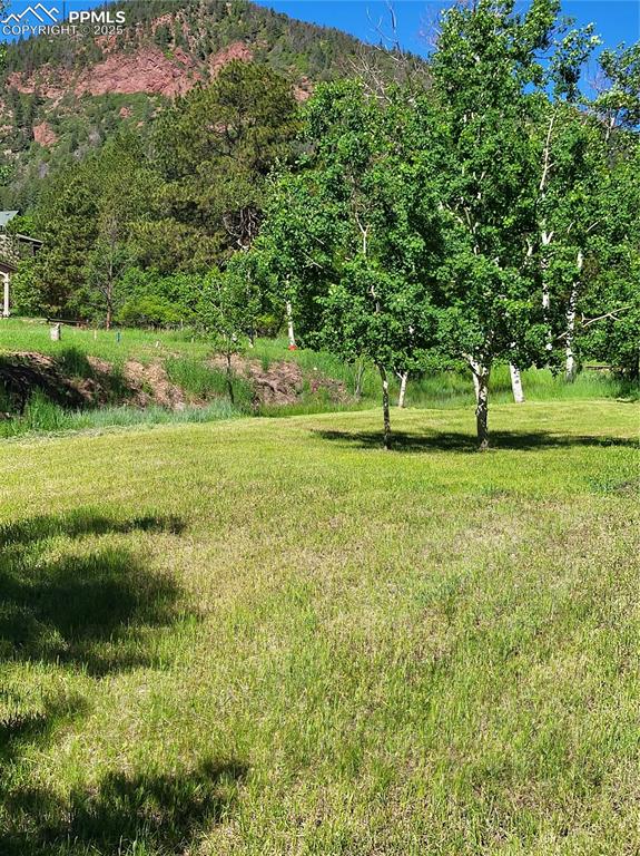 141 Virginia Avenue Palmer Lake CO 80133