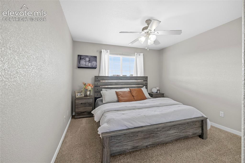 7815 Dry Willow Way Colorado Springs CO 80908