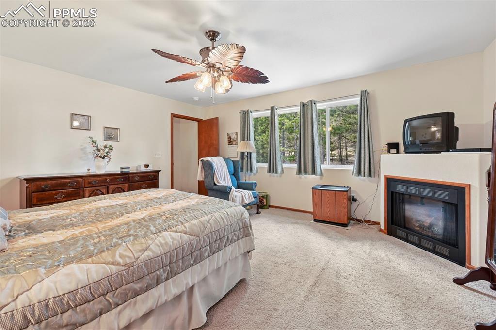 82 Apache Creek Drive Florissant CO 80816