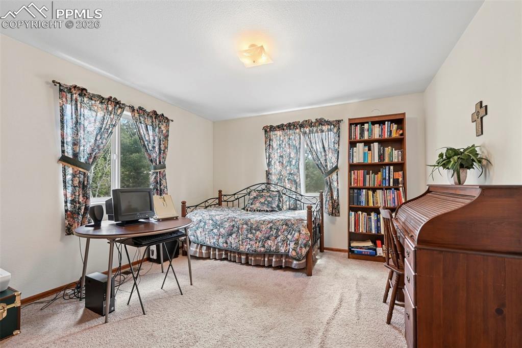 82 Apache Creek Drive Florissant CO 80816
