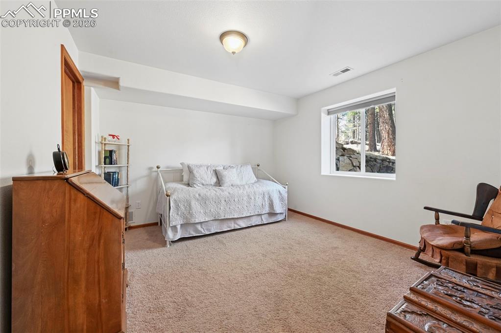 82 Apache Creek Drive Florissant CO 80816