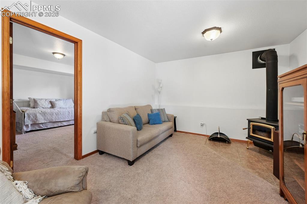 82 Apache Creek Drive Florissant CO 80816