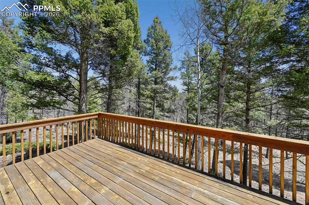 82 Apache Creek Drive Florissant CO 80816