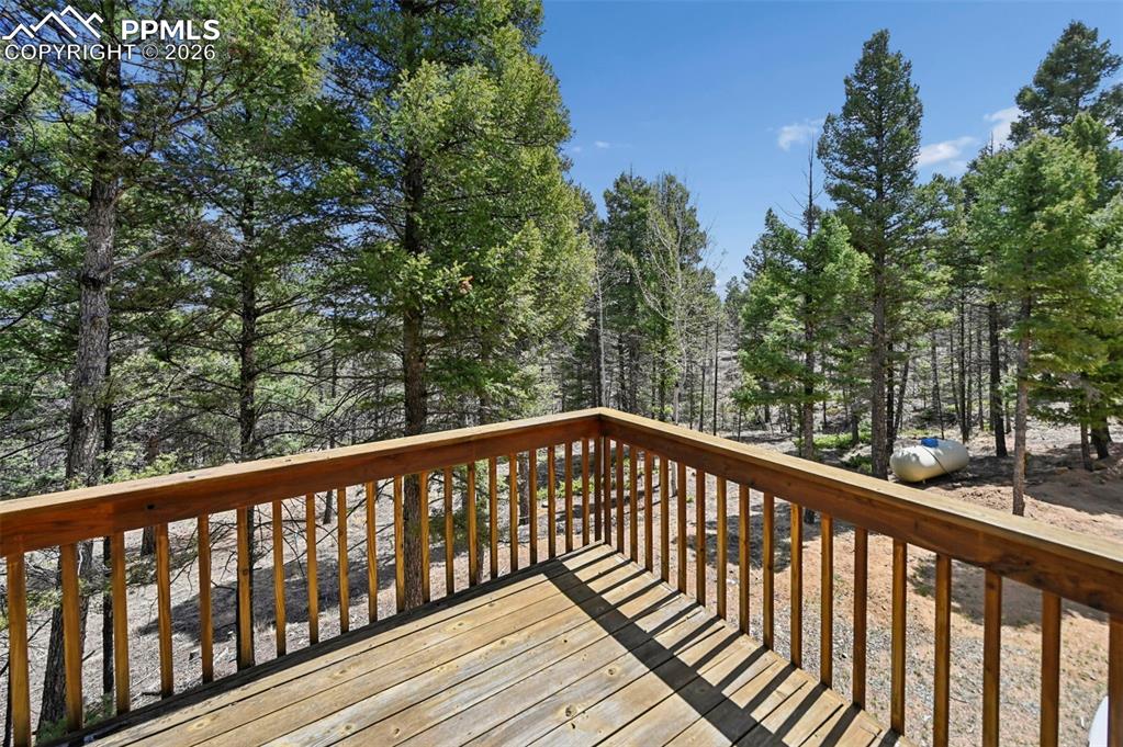 82 Apache Creek Drive Florissant CO 80816