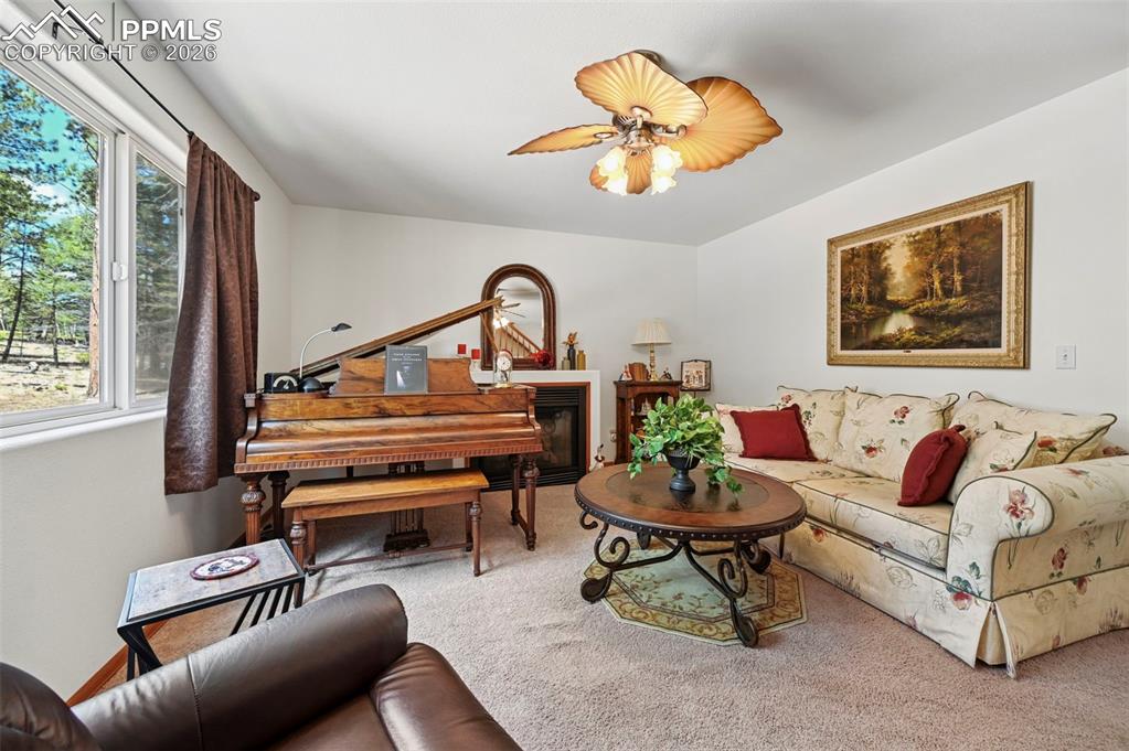 82 Apache Creek Drive Florissant CO 80816