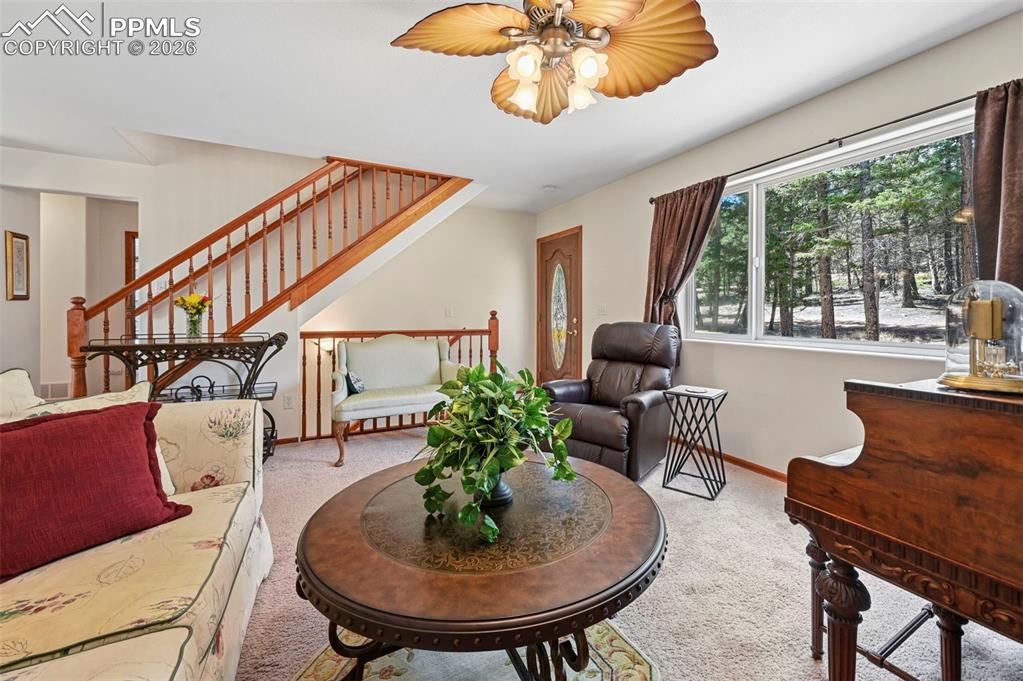 82 Apache Creek Drive Florissant CO 80816