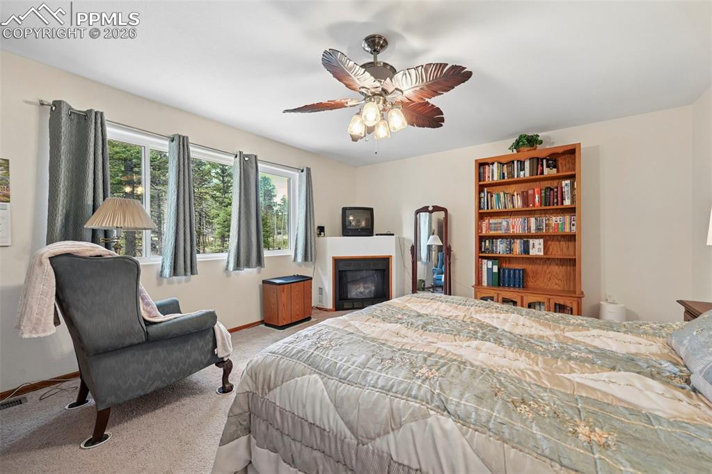 82 Apache Creek Drive Florissant CO 80816