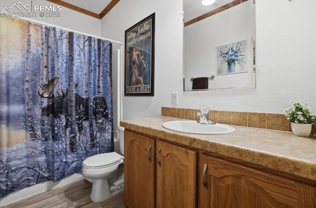 204 Crooked Creek Road Fairplay CO 80440