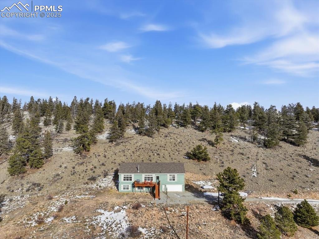204 Crooked Creek Road Fairplay CO 80440