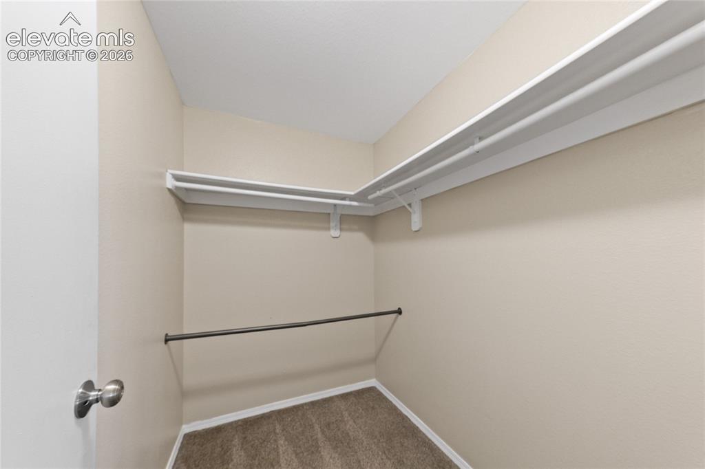 4426 Mcgrew Circle Colorado Springs CO 80911