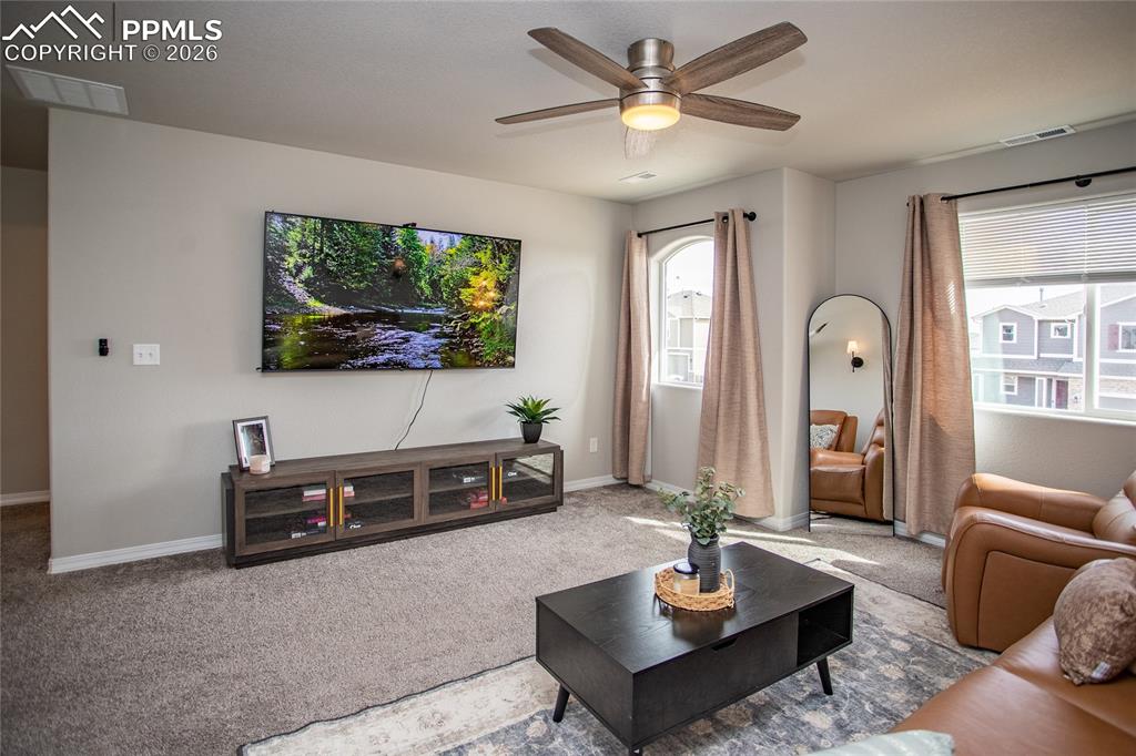 7751 Berwyn Loop Peyton CO 80831