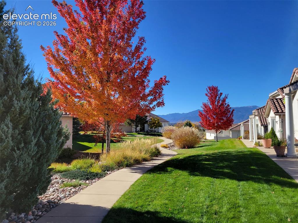 2655 Marston Heights Colorado Springs CO 80920