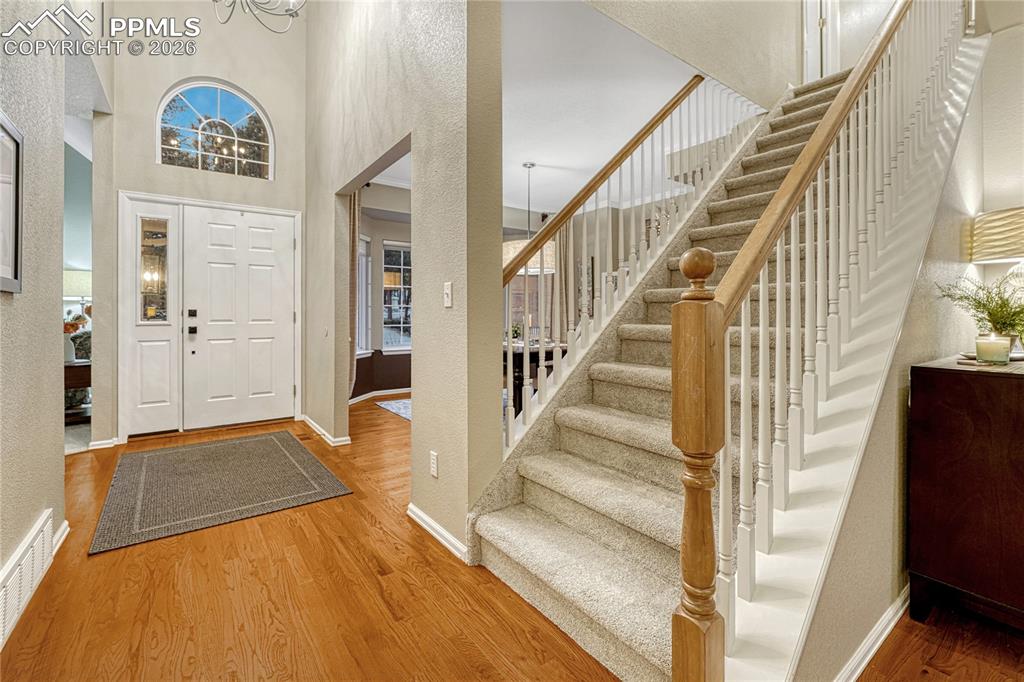 15585 Falcon Ridge Court Colorado Springs CO 80921