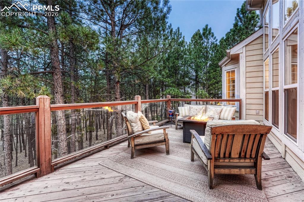 15585 Falcon Ridge Court Colorado Springs CO 80921