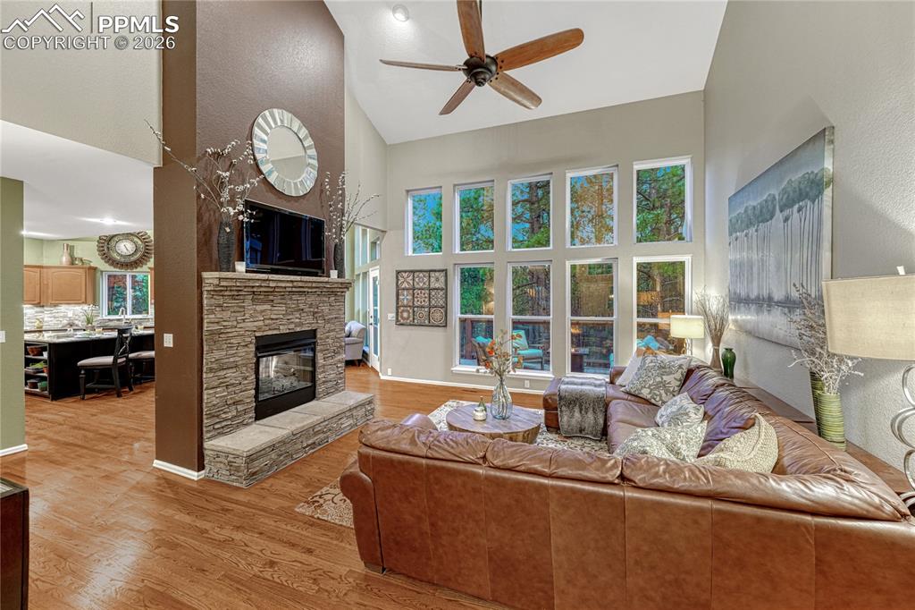 15585 Falcon Ridge Court Colorado Springs CO 80921