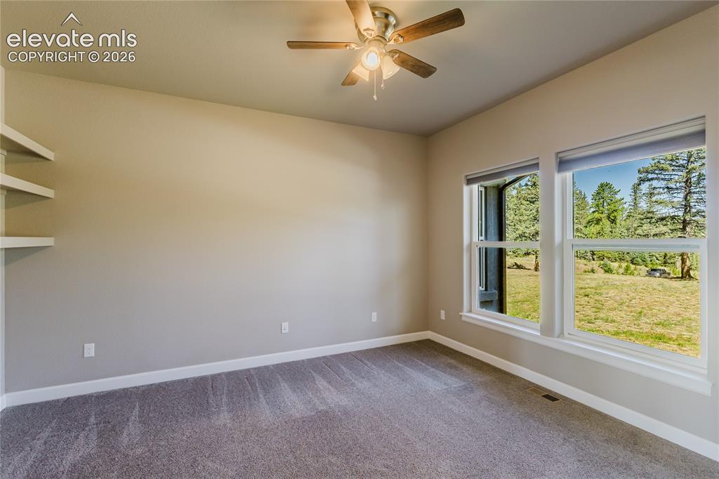 407 Silvermoon Heights Divide CO 80814