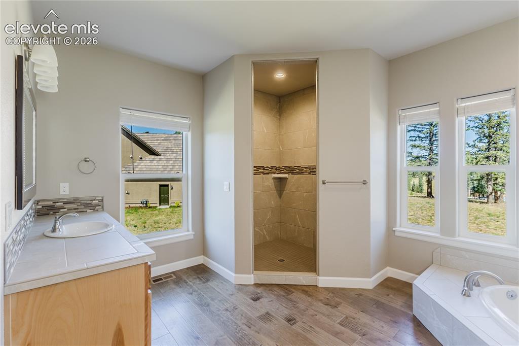 407 Silvermoon Heights Divide CO 80814