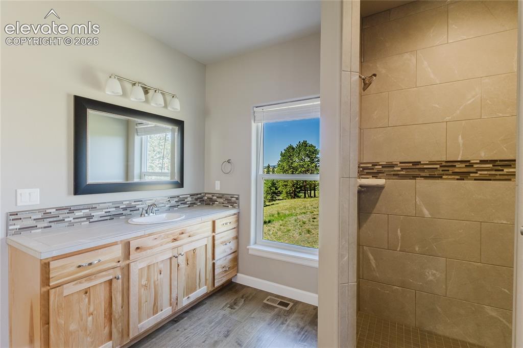 407 Silvermoon Heights Divide CO 80814