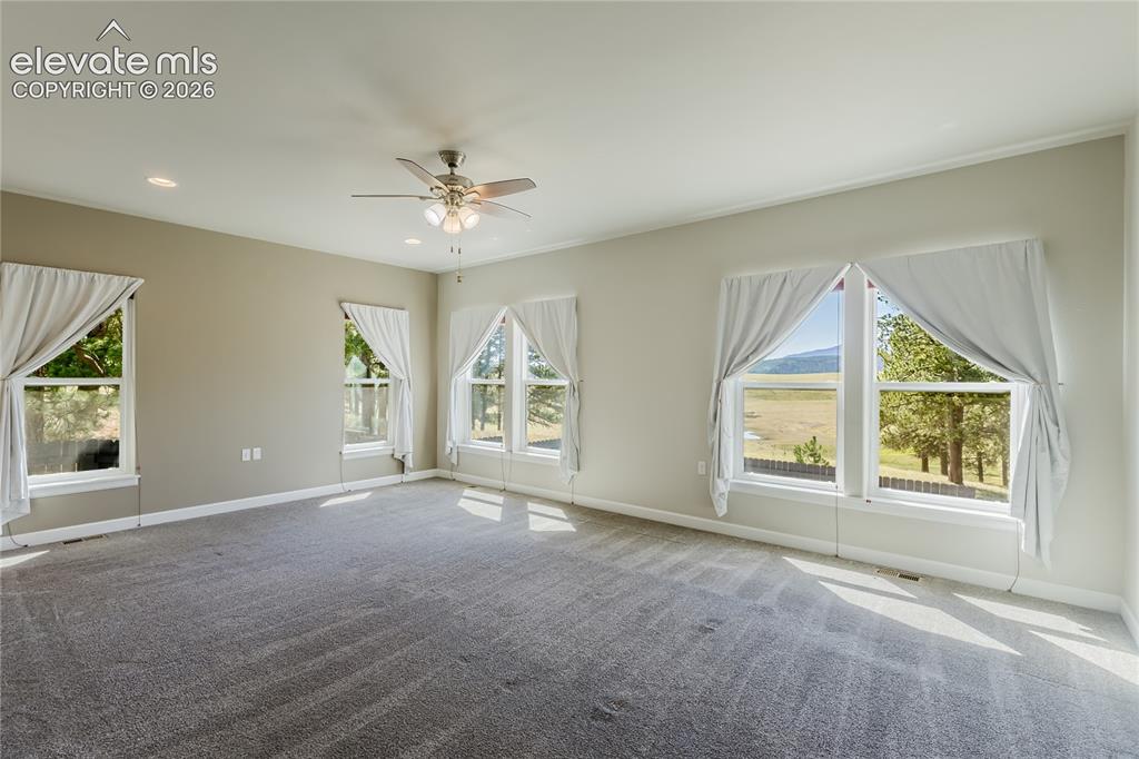 407 Silvermoon Heights Divide CO 80814