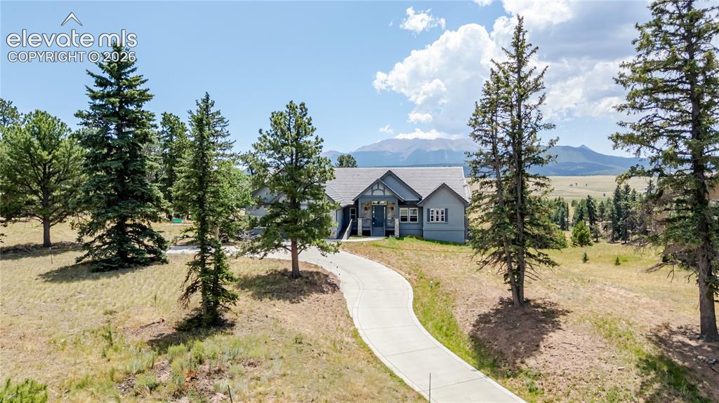 407 Silvermoon Heights Divide CO 80814