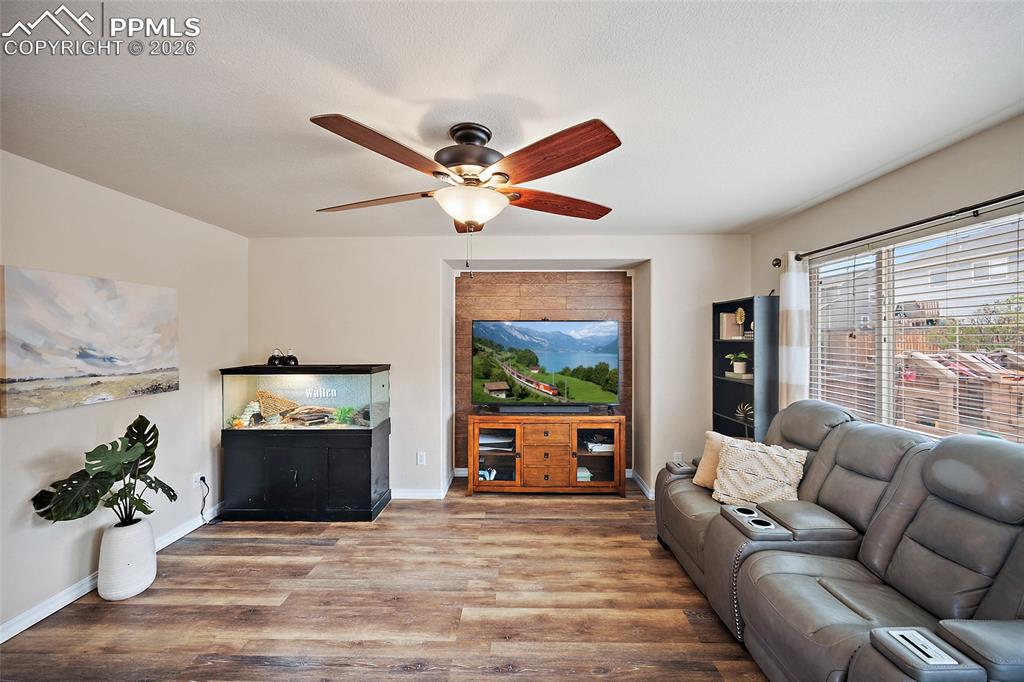 6973 Red Cardinal Loop Colorado Springs CO 80908
