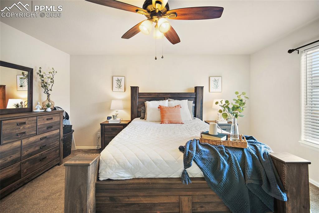 6973 Red Cardinal Loop Colorado Springs CO 80908