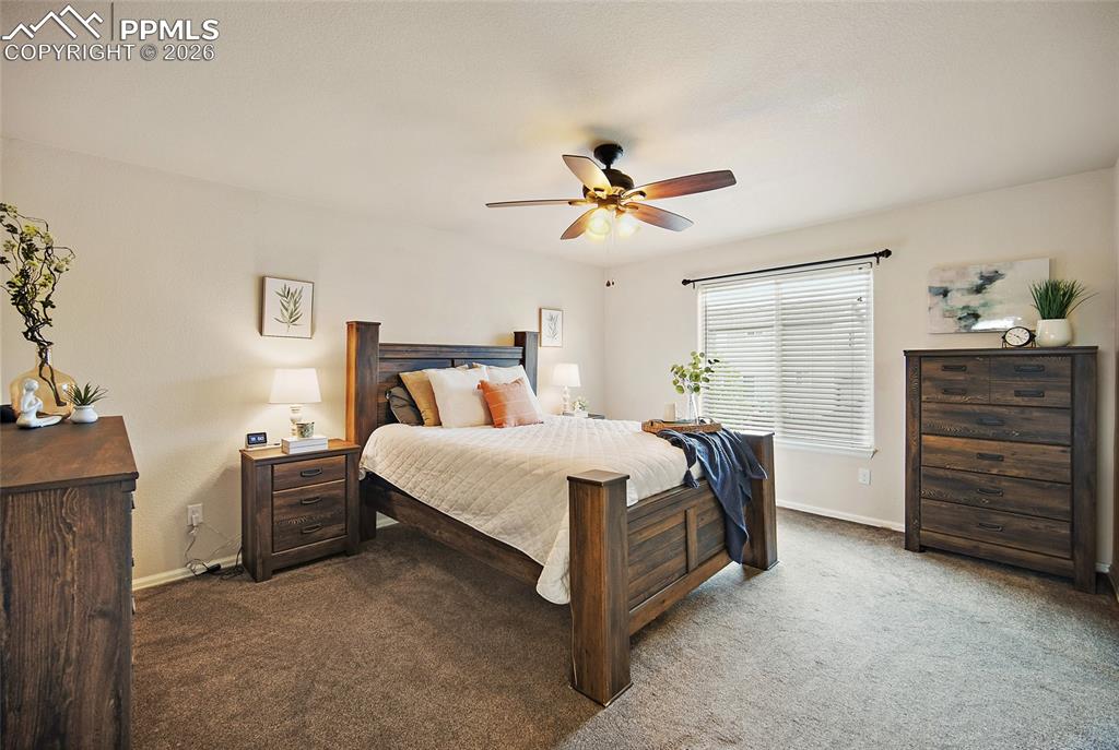 6973 Red Cardinal Loop Colorado Springs CO 80908