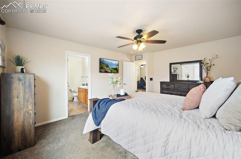 6973 Red Cardinal Loop Colorado Springs CO 80908