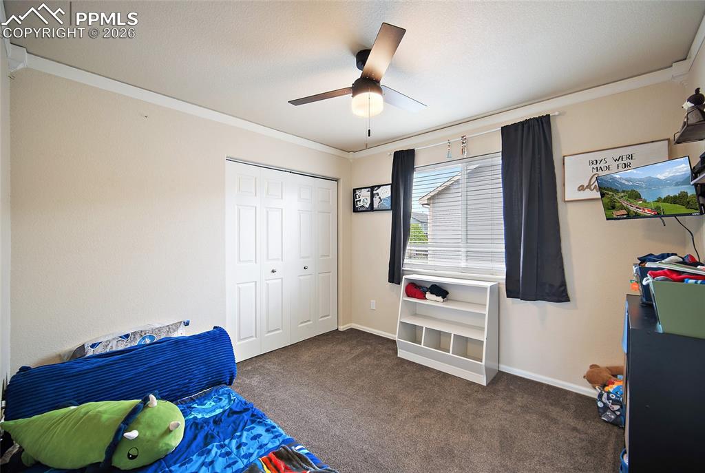 6973 Red Cardinal Loop Colorado Springs CO 80908