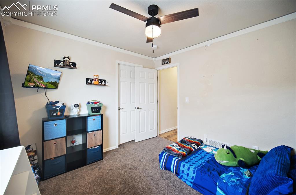 6973 Red Cardinal Loop Colorado Springs CO 80908