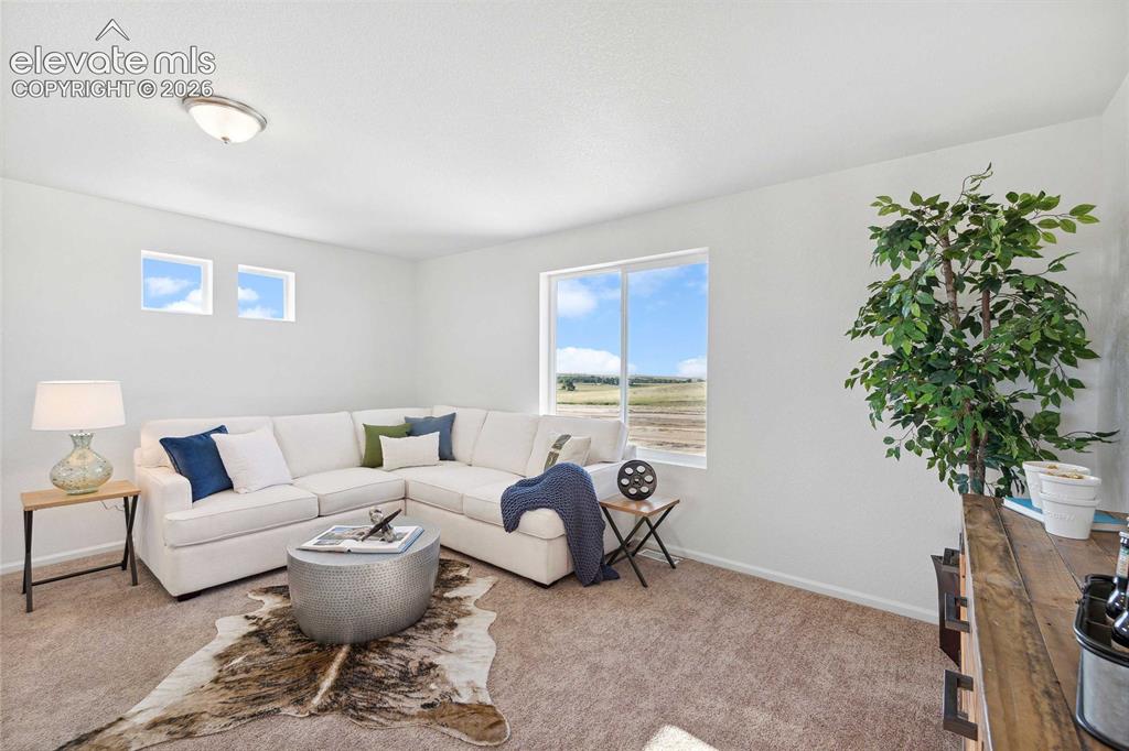 5671 Bowerman Lane Colorado Springs CO 80927