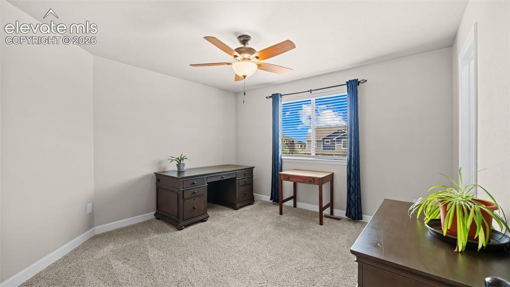 7643 Peachleaf Drive Colorado Springs CO 80925